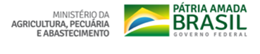 Imagem31